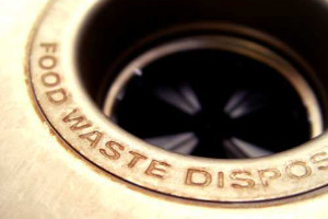 What are Garbage Disposers for in The Colony?