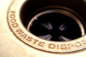 Garbage Disposals